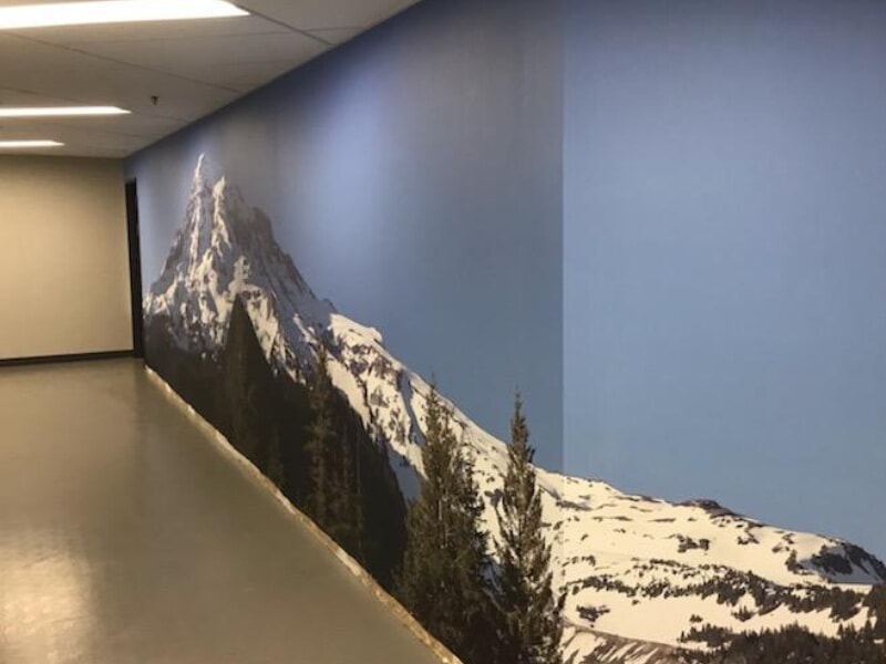 Window & Wall Graphics